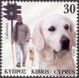 Cyprus 2005 Working Dogs c.jpg