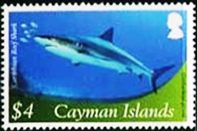 Cayman Islands 2012 Definitives - Marine Life i.jpg