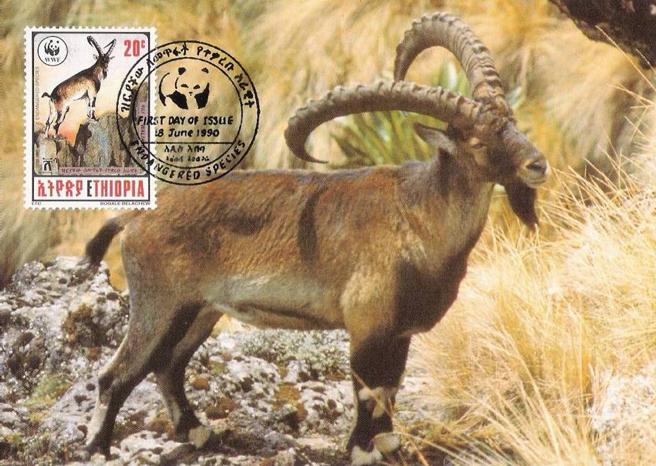 Ethiopia 1990 Definitives 20c.jpg