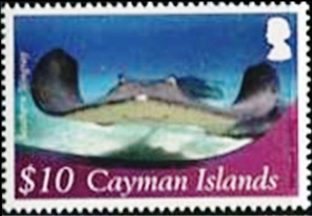 Cayman Islands 2012 Definitives - Marine Life k.jpg