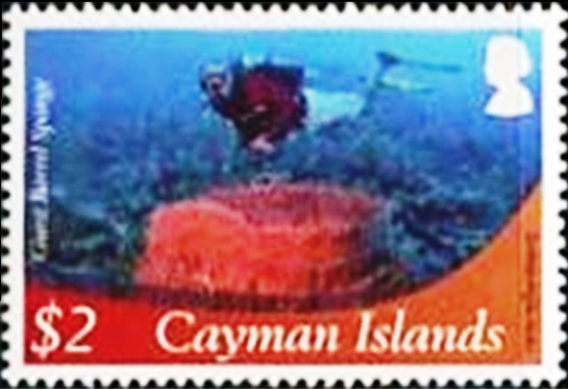 Cayman Islands 2012 Definitives - Marine Life h.jpg