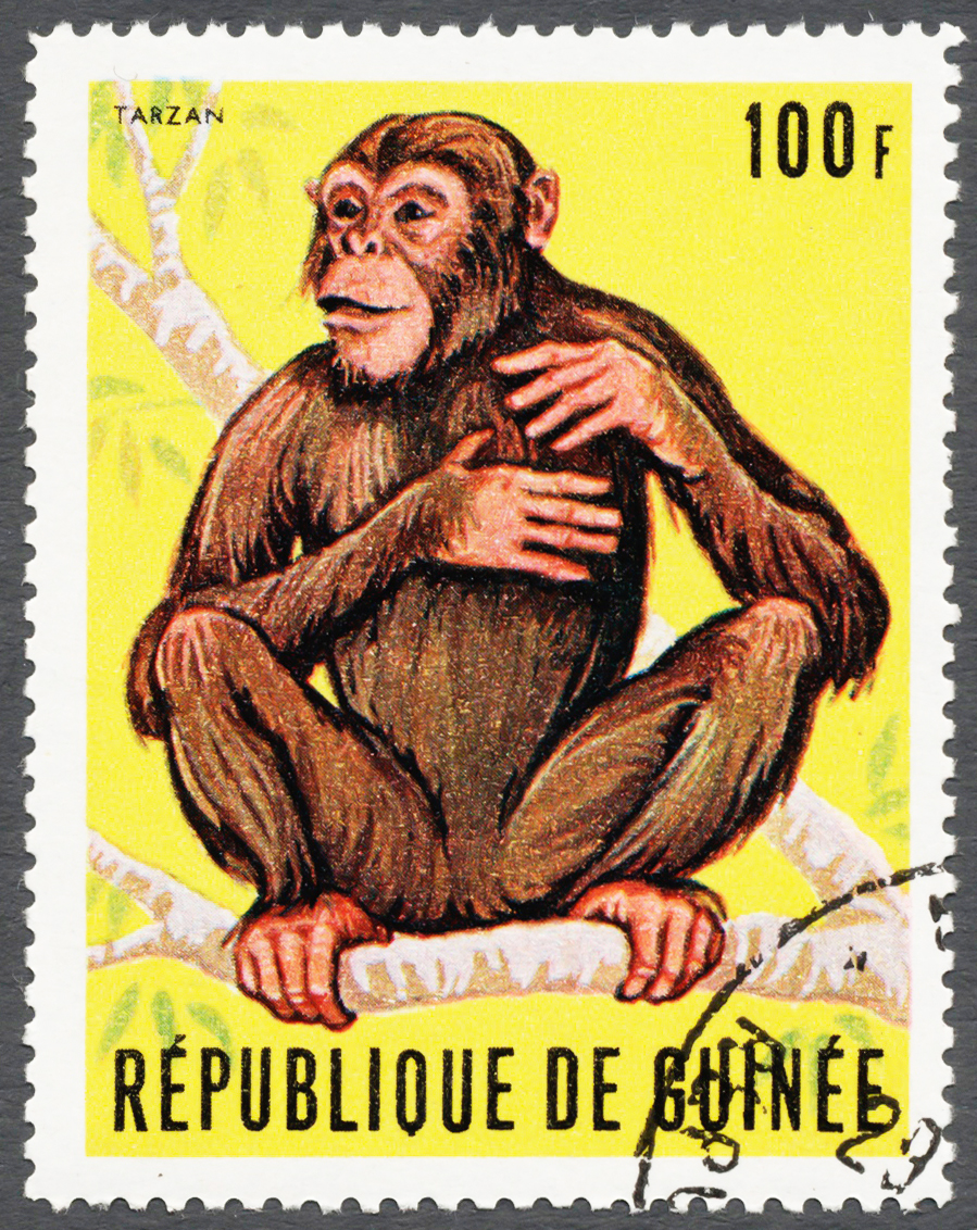 Guinea 1969 The Famous Guinea Chimpanzee "Tarzan" 100f.jpg