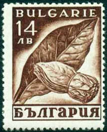 Bulgaria 1938 Agriculture dark brown 14lv.jpg