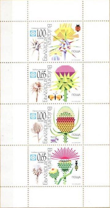 Bulgaria 2012 Flora - Prickly Plants MS.jpg