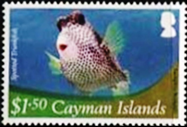 Cayman Islands 2012 Definitives - Marine Life f.jpg