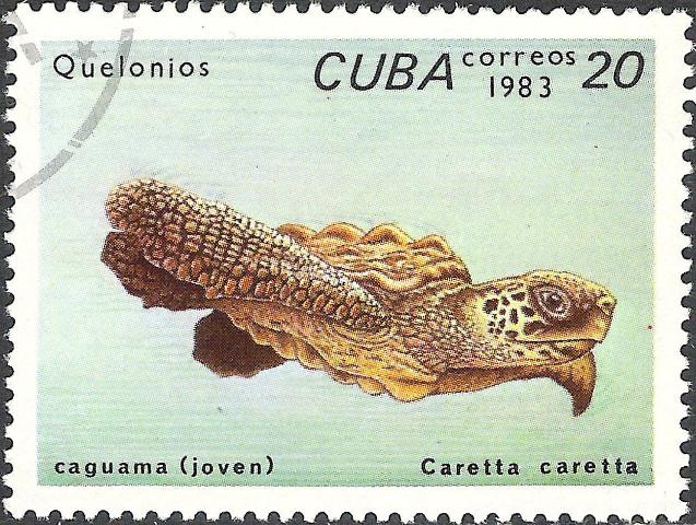 Cuba 1983 Turtles 20c.jpg