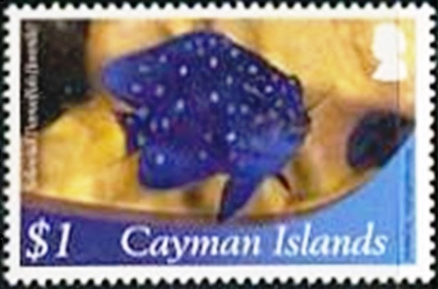 Cayman Islands 2012 Definitives - Marine Life e.jpg