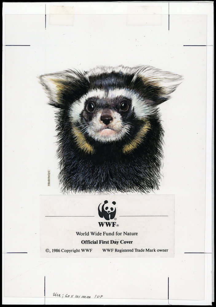 Kazakhstan 1997 Marbled Polecat a2.jpg