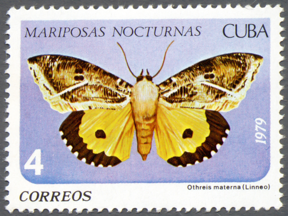Cuba 1979 Nocturnal Butterflies 4c.jpg