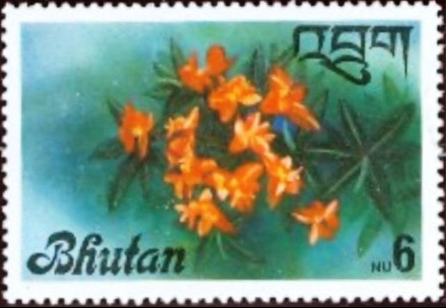 Bhutan 1976 Orchids 6n.jpg