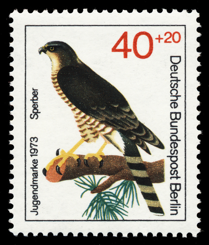 Germany-Berlin 1973 Youth Welfare - Birds of Prey 40+20.jpg