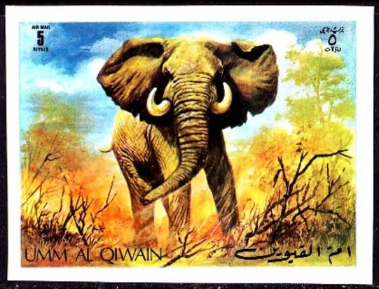 Umm al-Quwain 1971 Animals in the wild e1.jpg