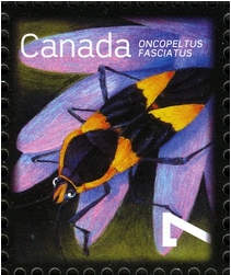Canada 2010 Useful Insects c.jpg