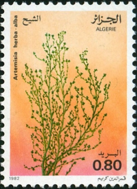 Algeria 1982 Medicinal Plants b.jpg