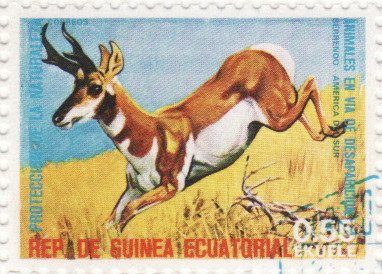 Equatorial Guinea 1974 Endangered Animals 55c.jpg