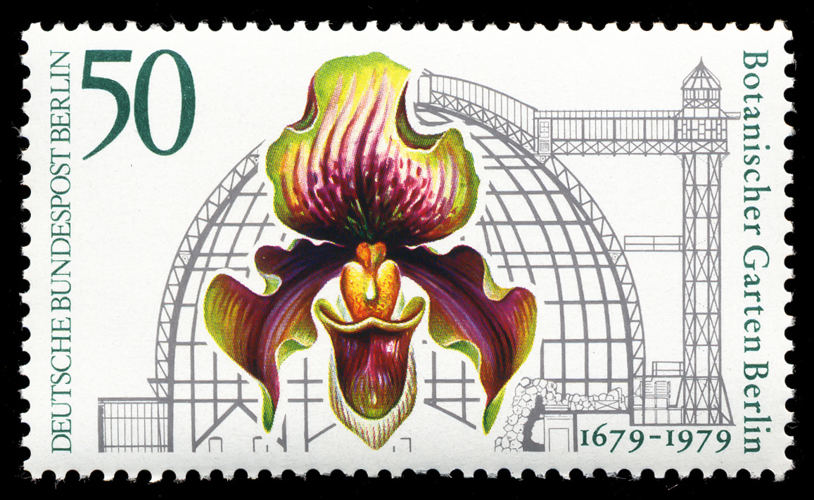 Germany-Berlin 1979 The 300th Anniversary of the Botanical Garden, Berlin 50.jpg