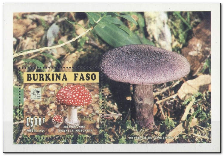 Burkina Faso 1996 Boy Scout Jamboree - Fungi 1ms.jpg