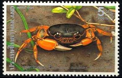 Thailand 1994 Crabs b.jpg