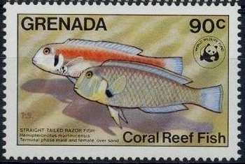 Grenada 1984 Coral Reef Fish d.jpg