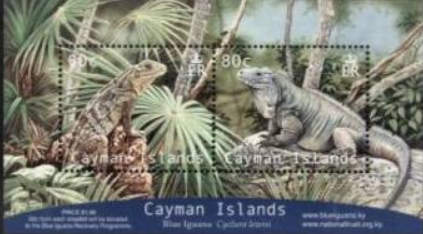 Cayman Islands 2004 Iguana's fdc.jpg