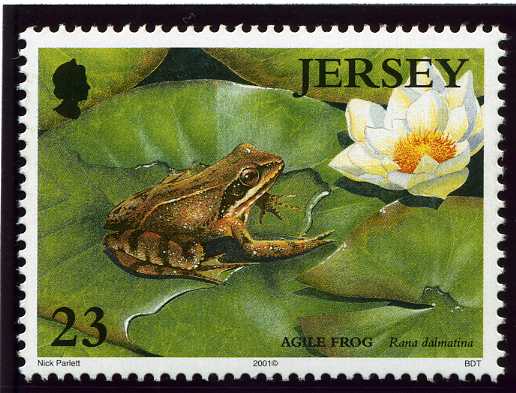 Jersey 2001 Pond Life.23p.jpg