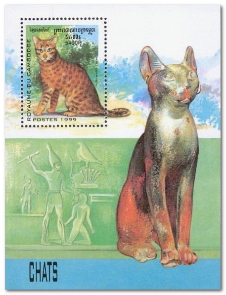Cambodia 1999 Cats g.jpg