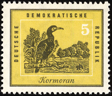 One page. The CORMORANT, a facinating bird DDRPS.jpg