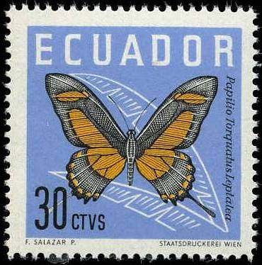 Ecuador 1961 Butterflies c.jpg