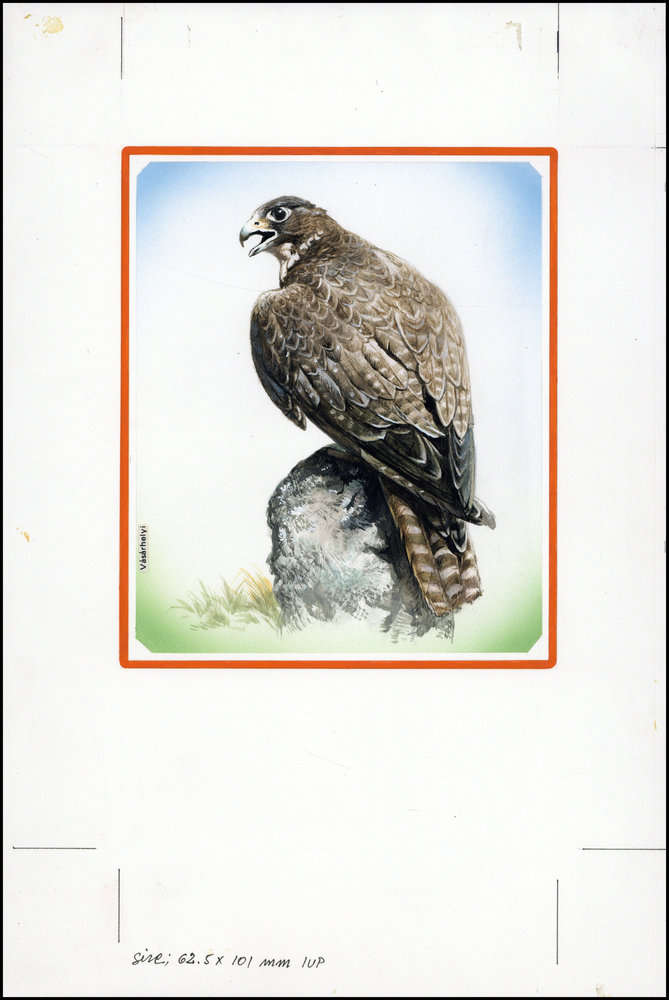 Iceland 1992 Gyr Falcon - Endangered Birds d3.jpg