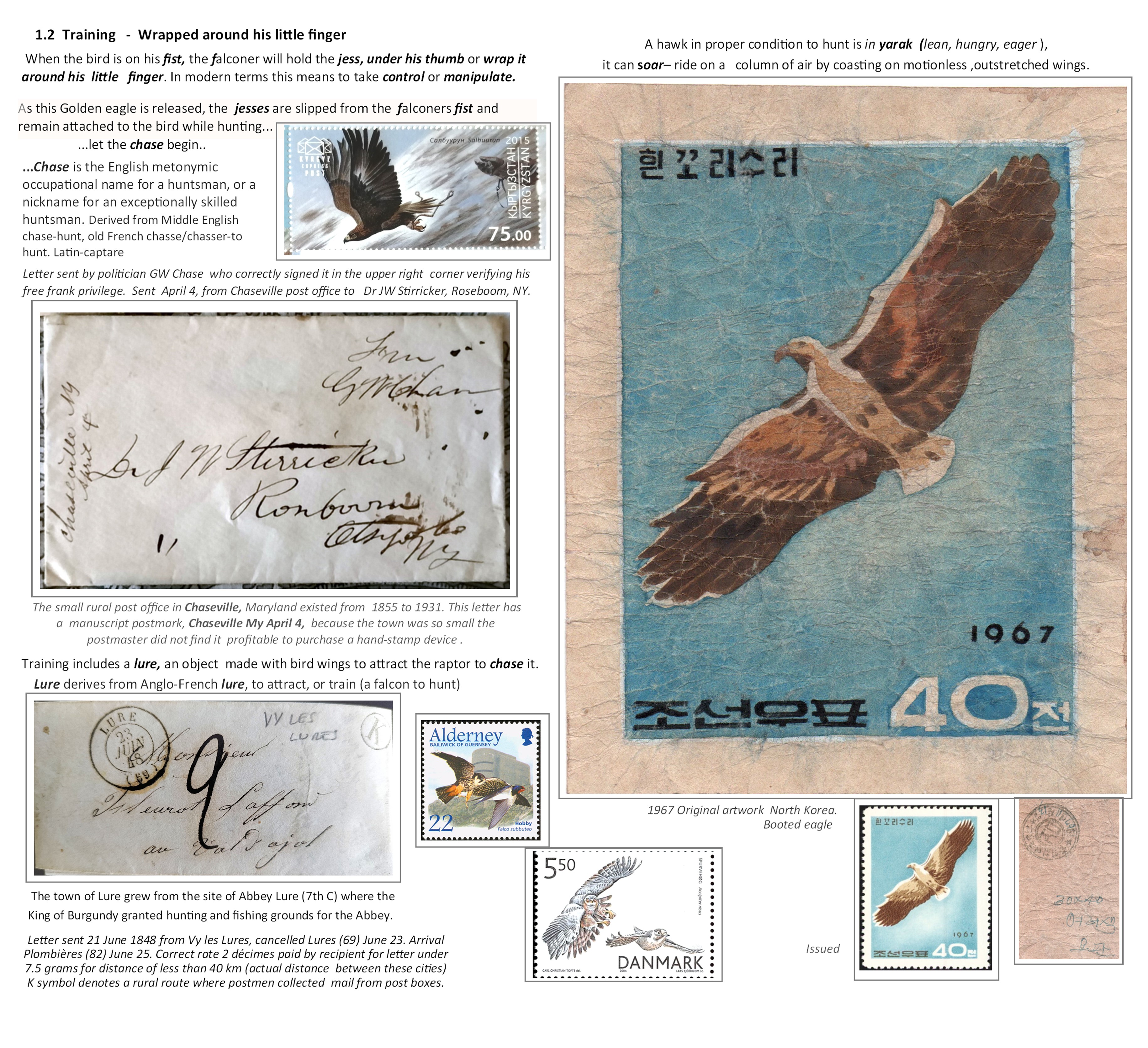 The Language of Falconry c.jpg