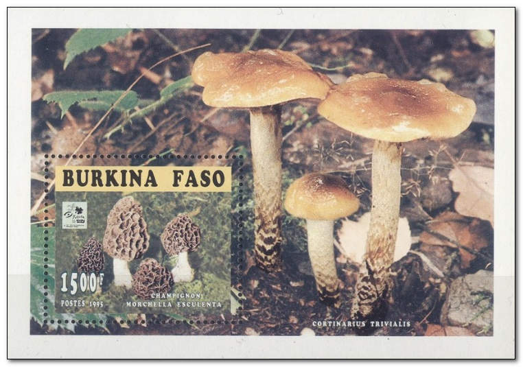 Burkina Faso 1996 Boy Scout Jamboree - Fungi ms.jpg