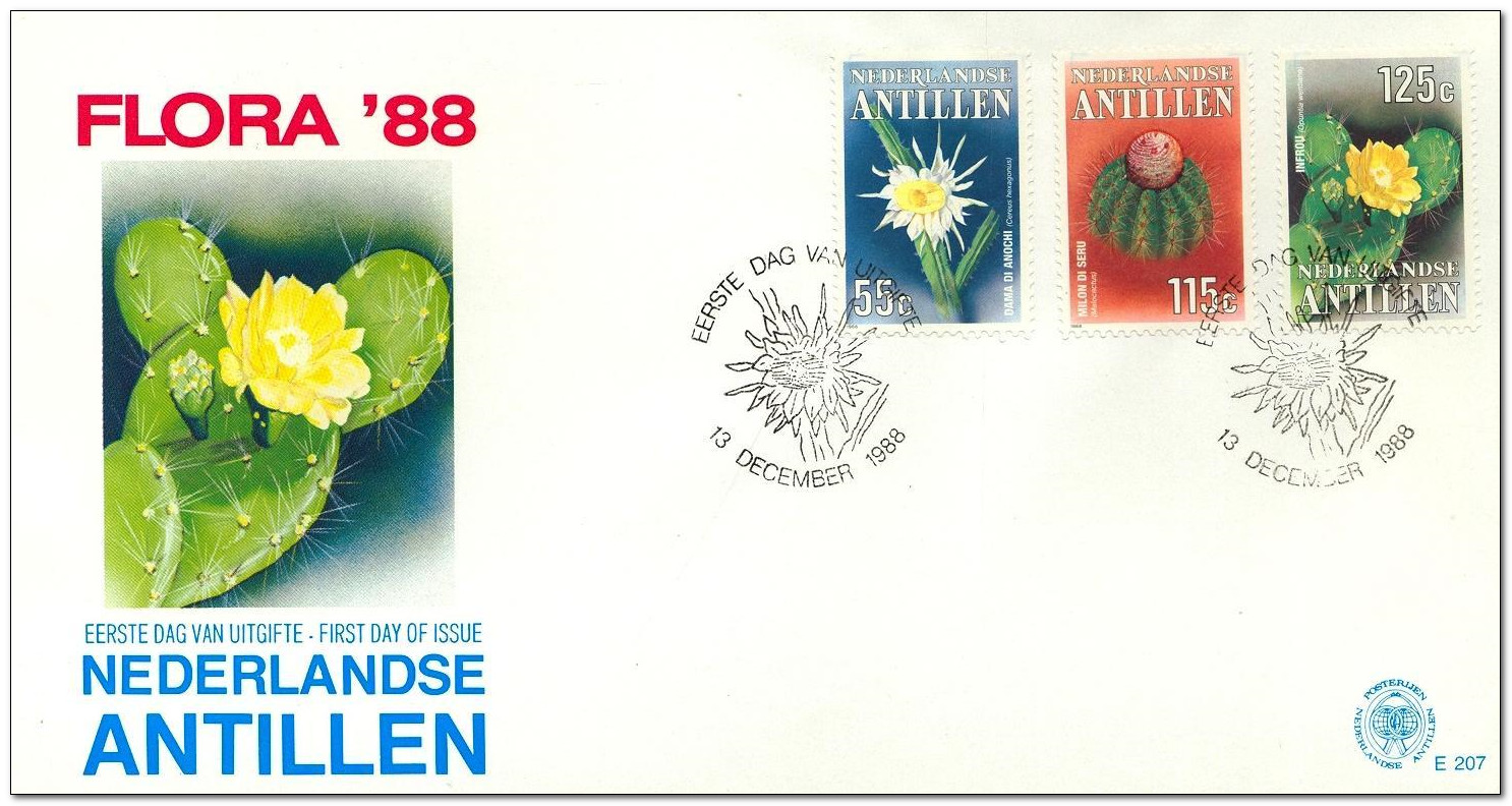 Netherlands Antilles 1988 Cacti fdc.jpg