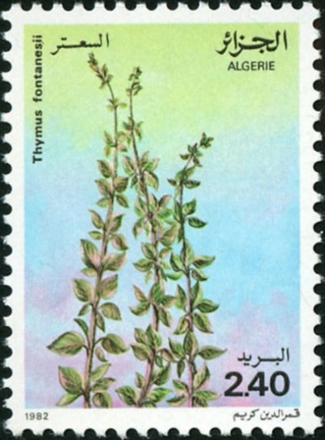 Algeria 1982 Medicinal Plants d.jpg