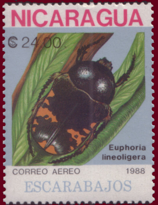 Nicaragua 1988 Beetles e.jpg