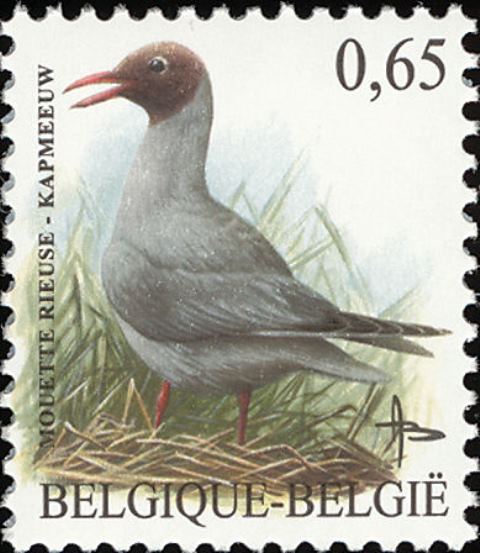 Belgium 2002-2005 Definitives - Birds - Values in € 0€65P8a.jpg