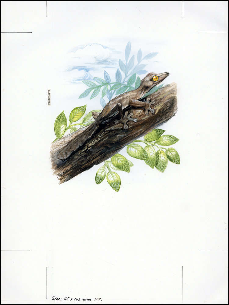 Madagascar 1999 Lizards WWF c3.jpg