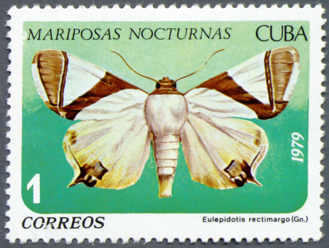 Cuba 1979 Nocturnal Butterflies 1c.jpg