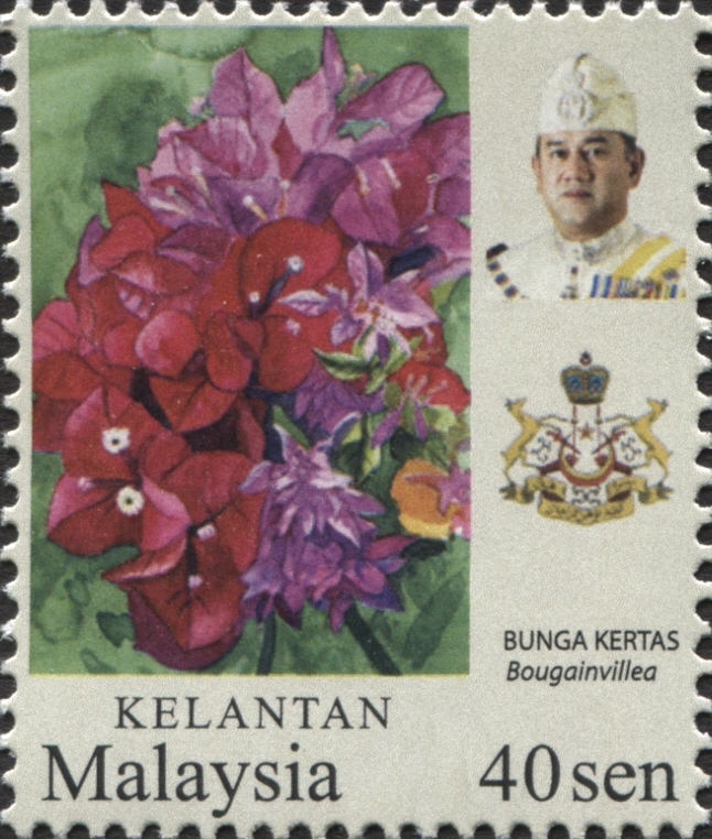 Kelantan 2018 Flowers d.jpg