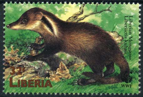 Liberia 1998 Liberian Mongoose World Wildlife Fund WWF d.jpg