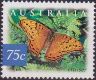 Australia 2004 Rain Forest Butterflies c.jpg