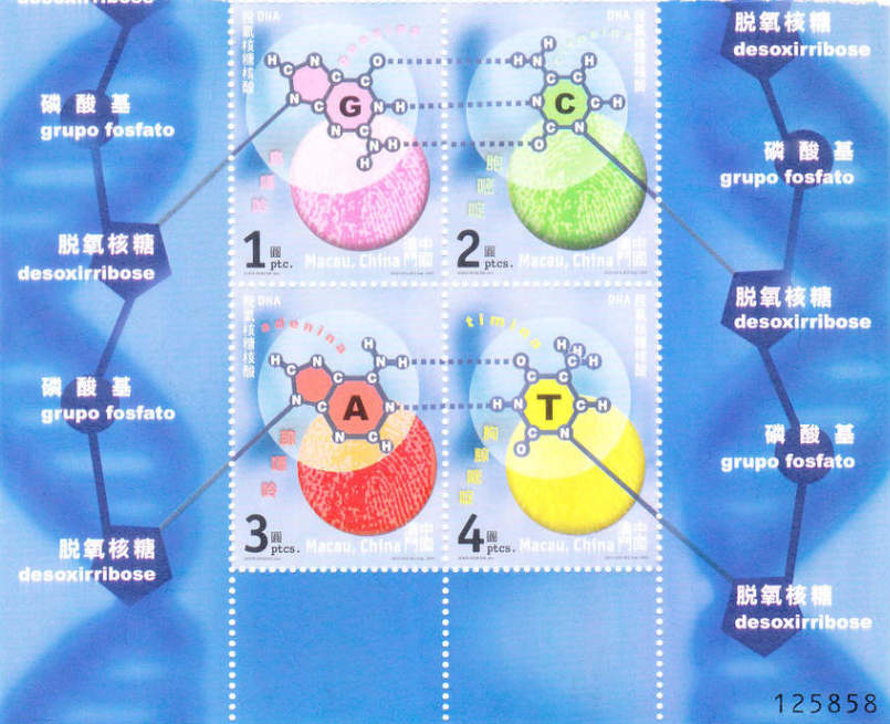 Macao 2001 Science and Technology -DNA a.jpg