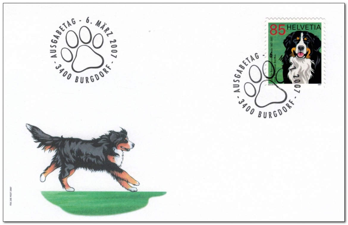 Switzerland 2007 Swiss Club for Bernese Mountain Dogs fdc.jpg