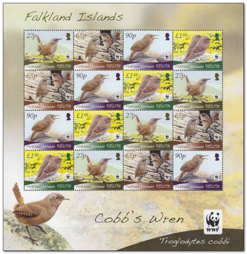 Falkland Islands 2009 Cobbs Wren slt.jpg