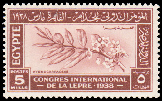 Egypt 1938 International Leprosy Congress, Cairo 5.jpg
