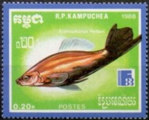 Kampuchea 1988 Stamp Exhibition "Finlandia '88" - Aquarium Fish 0,20r.jpg