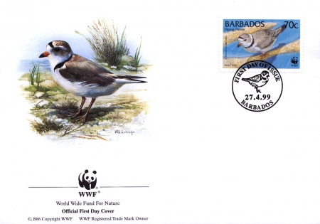 Barbados 1999 Threatened Species Piping Plover WWF 4.jpg