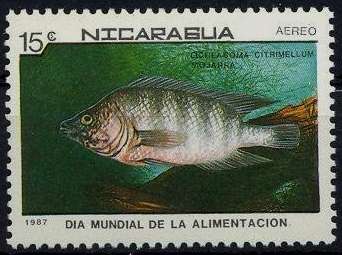 Nicaragua 1987 Edible Fish e.jpg