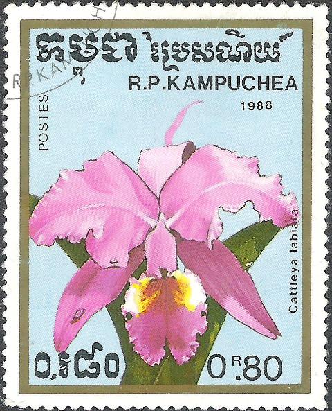 Kampuchea 1988 Orchids 80c.jpg