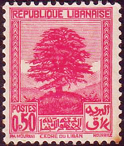 Lebanon 1937-40 Definitives - Cedar of Lebanon 0p50.jpg
