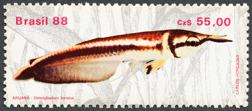 Brazil 1988 Freshwater Fish b 55.jpg